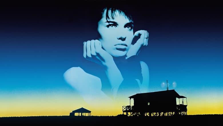 Betty Blue image