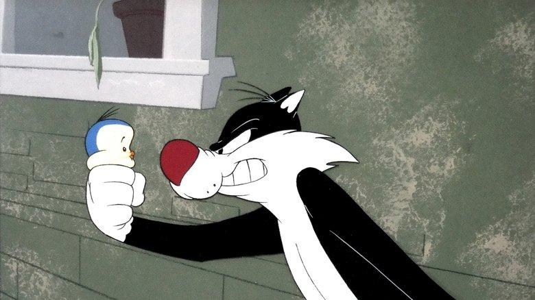 Father Of The Bird image