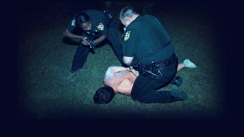 Live PD: Police Patrol image