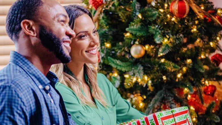 Christmas in Louisiana image