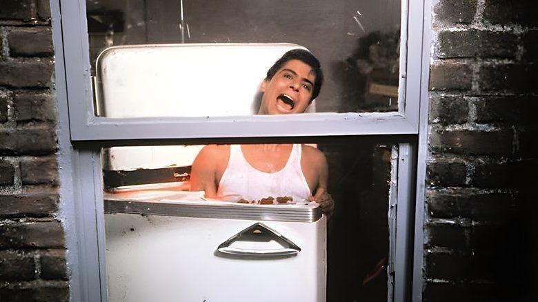 The Refrigerator image