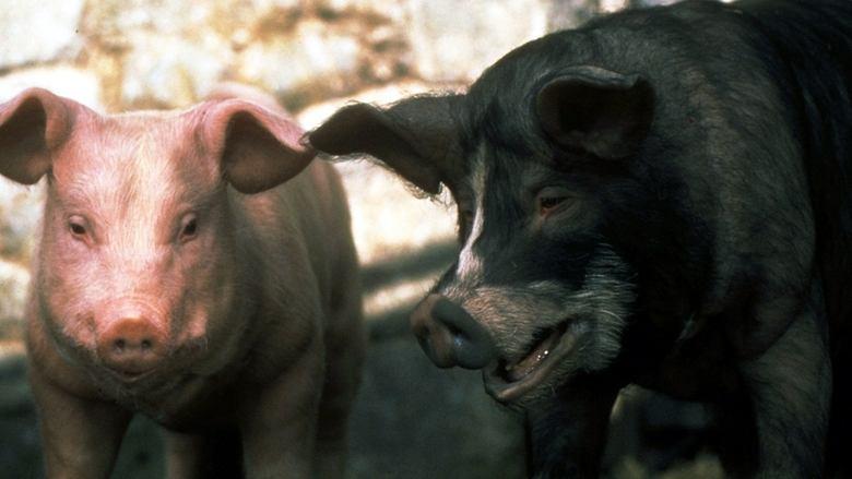 Animal Farm image