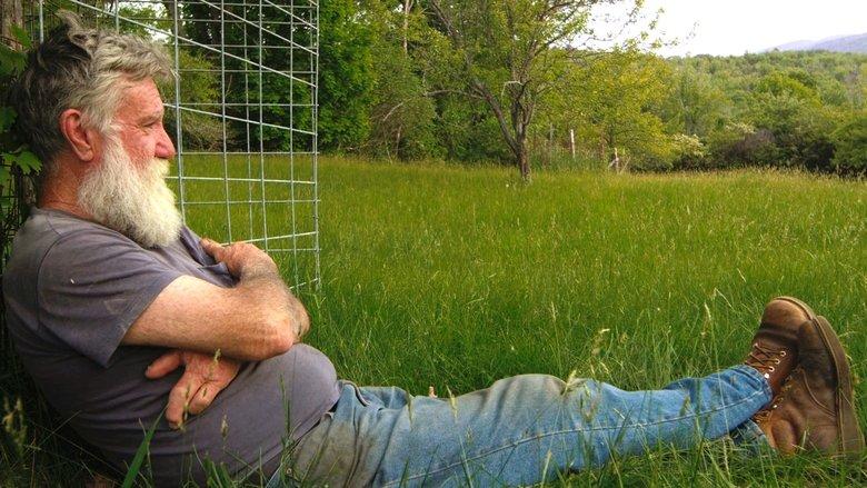 Peter and the Farm image