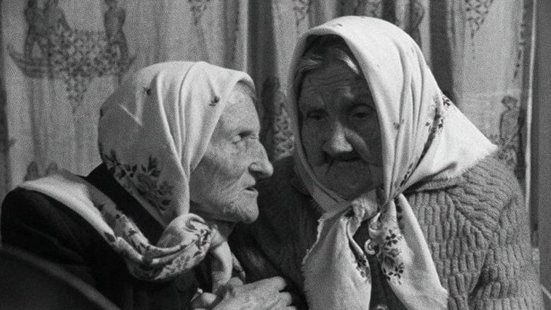 The Dreams of the Centenarians image