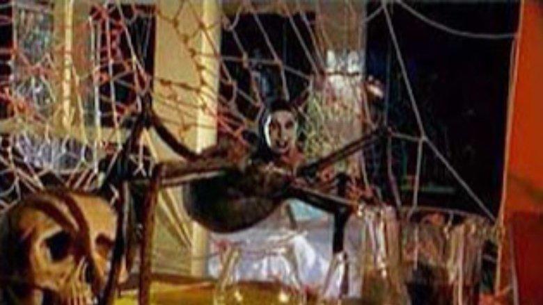 Mari-Cookie and the Killer Tarantula image