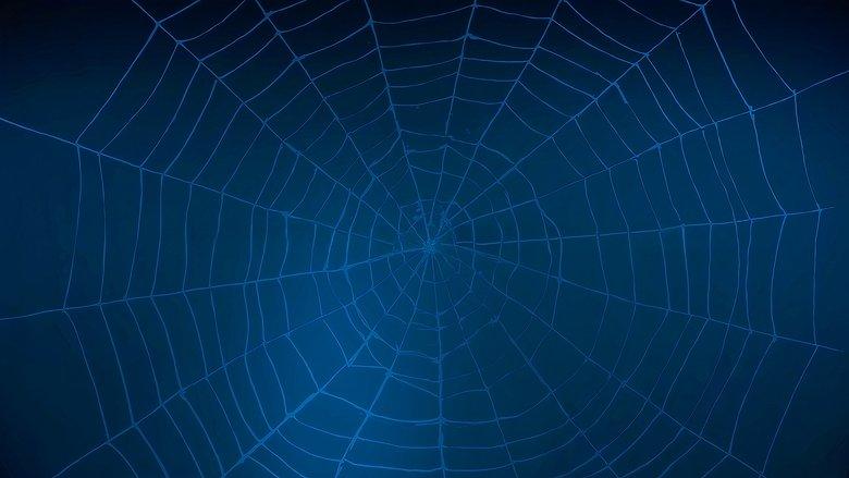 A Fan's Guide to Spider-Man Homecoming image