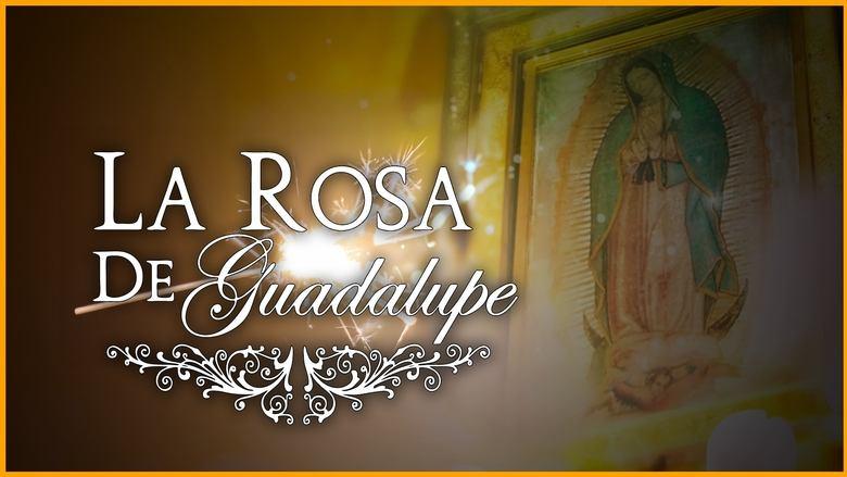 La rosa de Guadalupe image