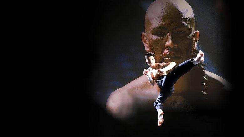 Kickboxer 4: The Aggressor image