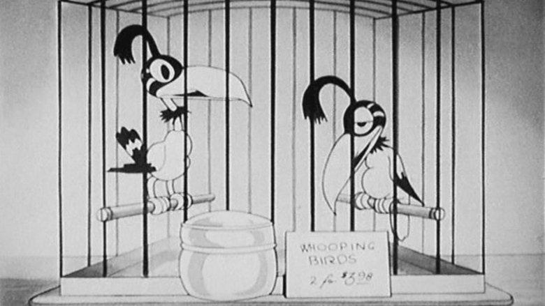 The Bird Store image