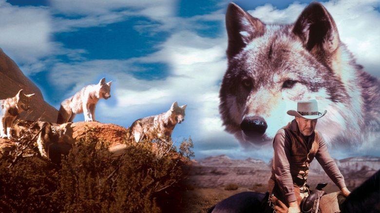 The Legend of Lobo image