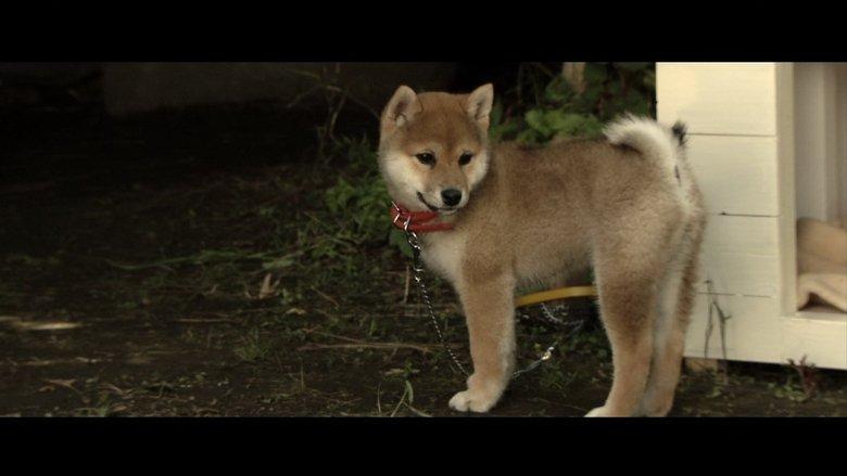 Happy Together –All About My Dog– image