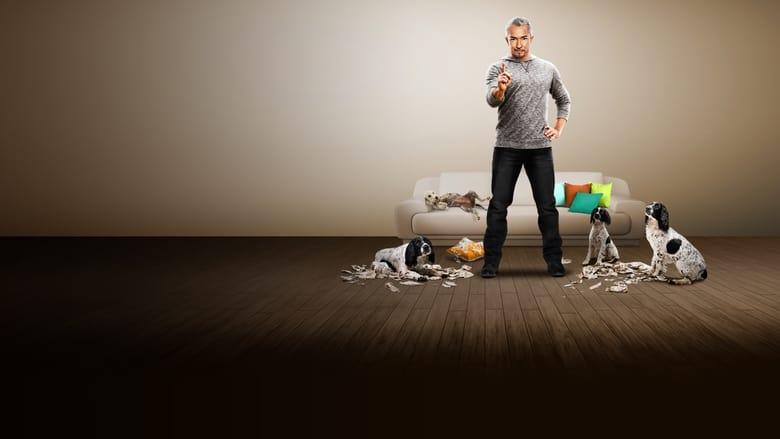 Dog Whisperer image