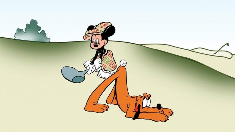 Canine Caddy image