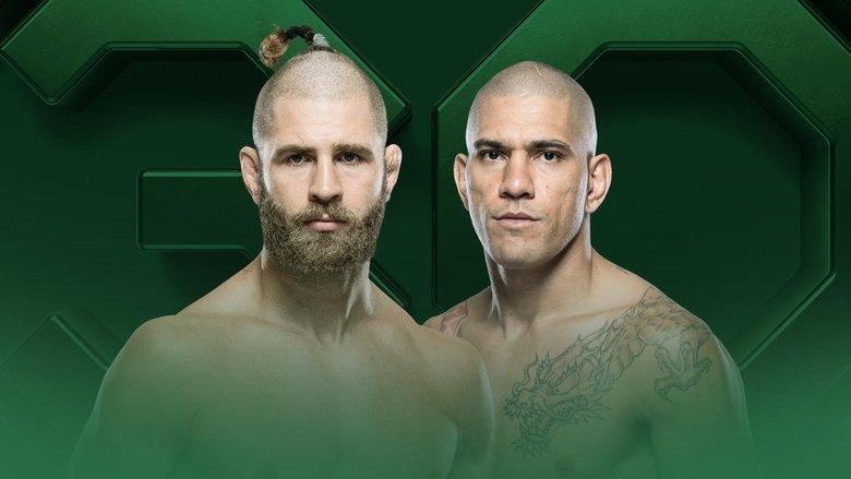 UFC 295: Prochazka vs. Pereira image