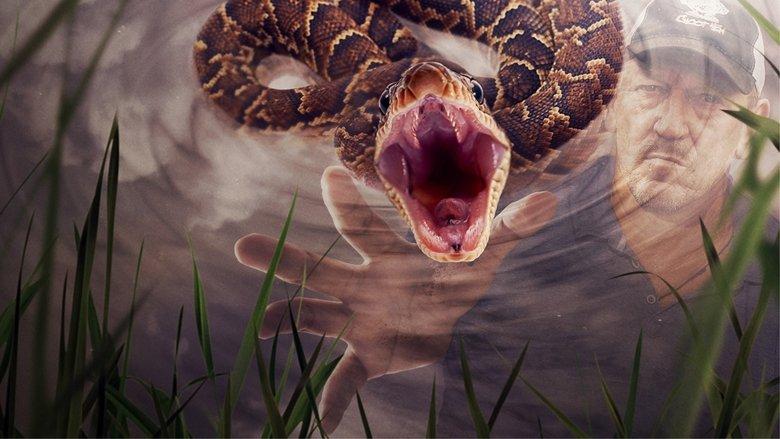 Swamp People: Serpent Invasion image