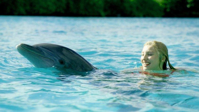 Dolphin Island image