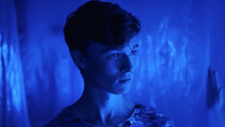 Sequin in a Blue Room image