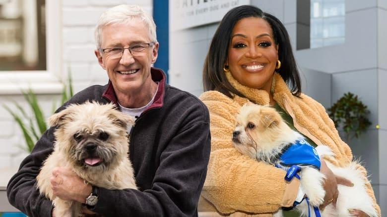 For the Love of Dogs image
