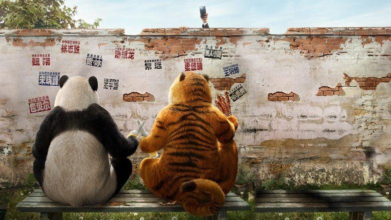 Follow Bear to Adventure image