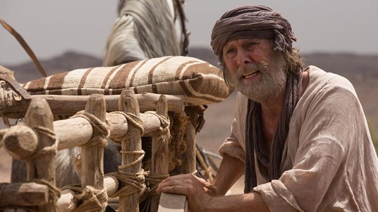 The Ark image
