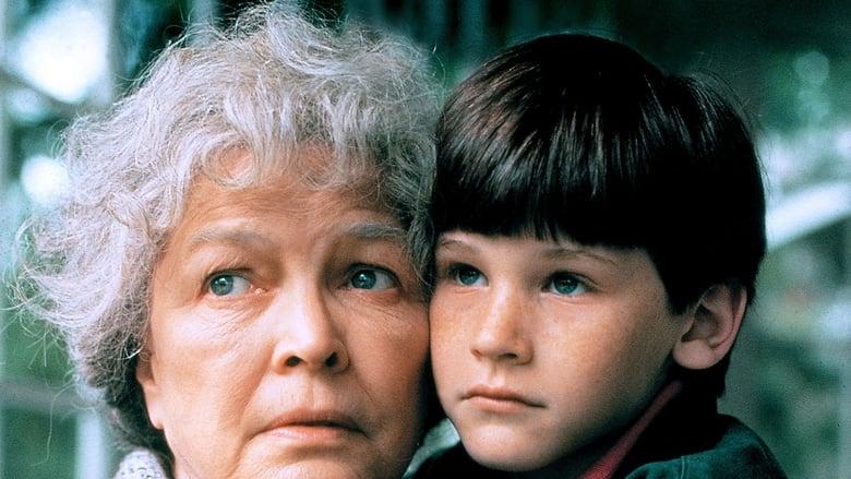 Mrs. Lambert Remembers Love image