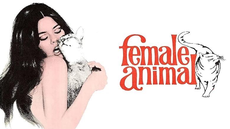 Female Animal image