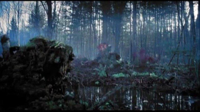 The Marsh image