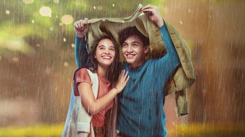 Love Like the Falling Rain image