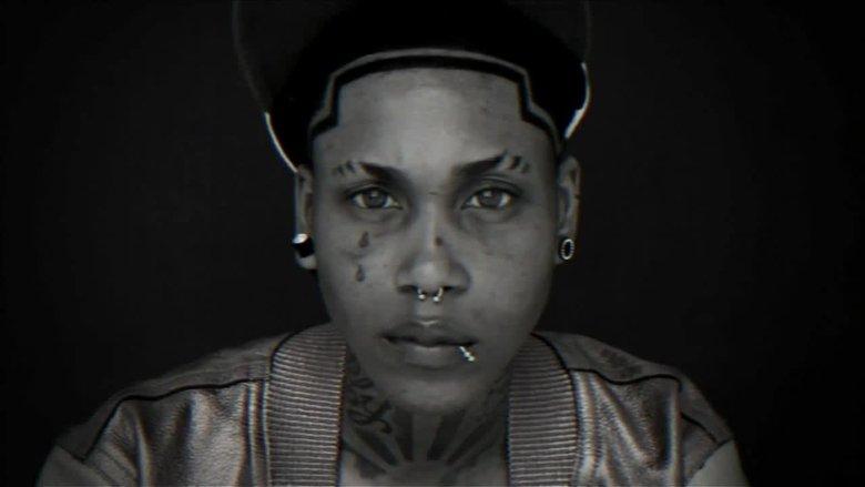 Studs image