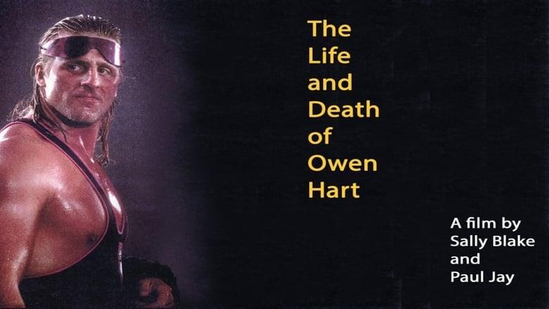 The Life and Death of Owen Hart image
