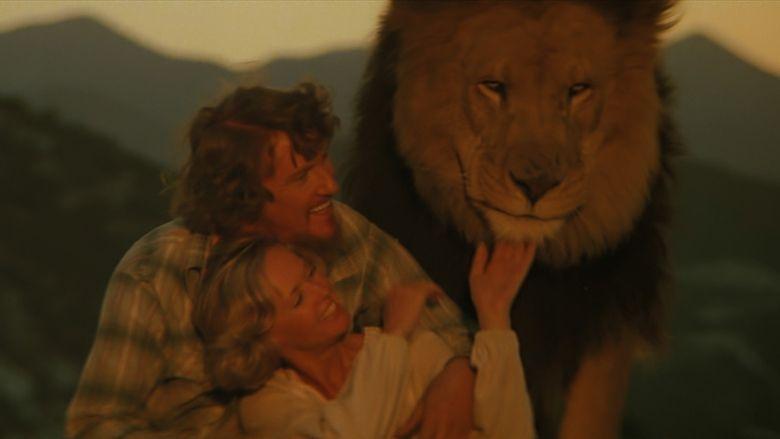 Roar image