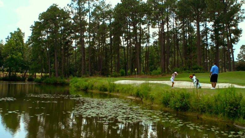 The Short Game image