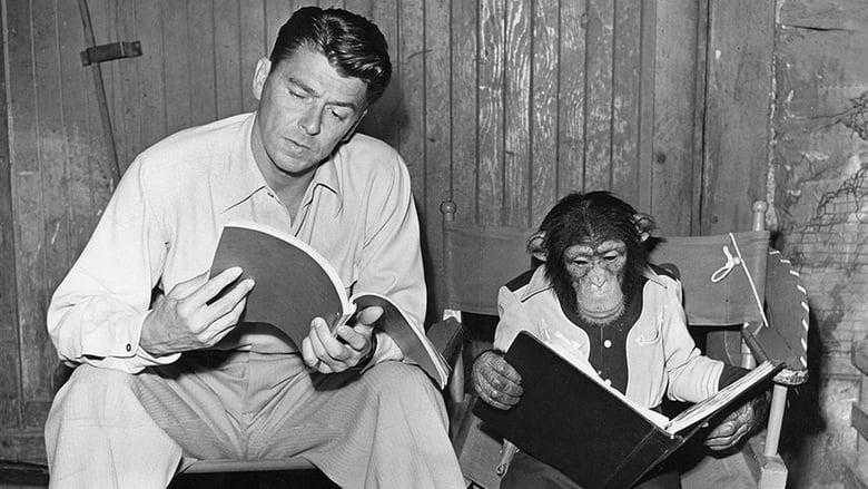 Bedtime for Bonzo image
