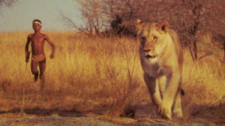 The Lion Child image
