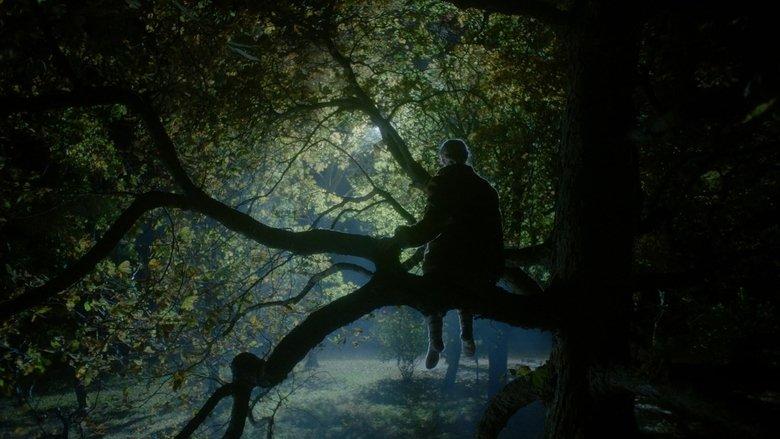 Nightingale image