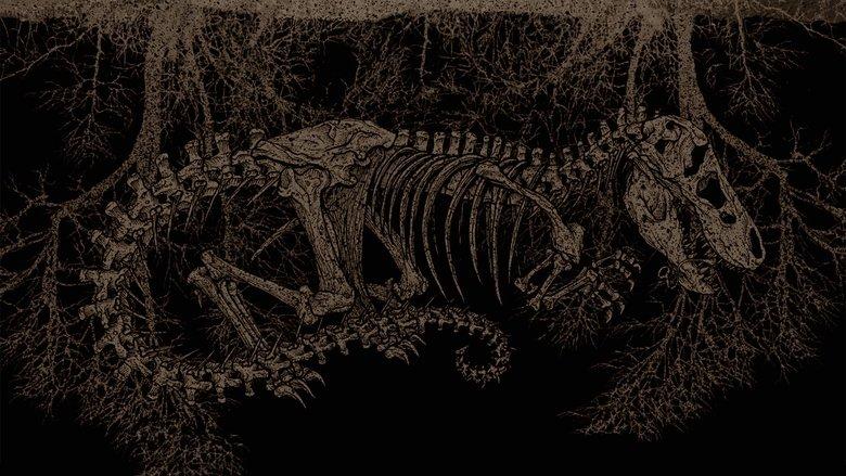 Tyrannosaur image