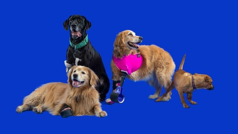 The Wizard of Paws image