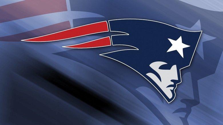 Super Bowl LI Champions: New England Patriots image