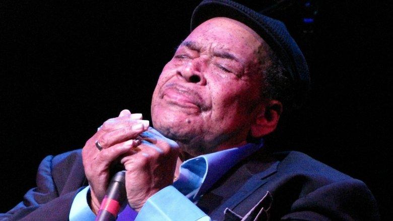 Bonnie Blue: James Cotton's Life in the Blues image
