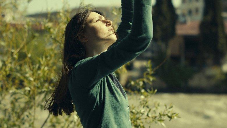 What Do We See When We Look at the Sky? image