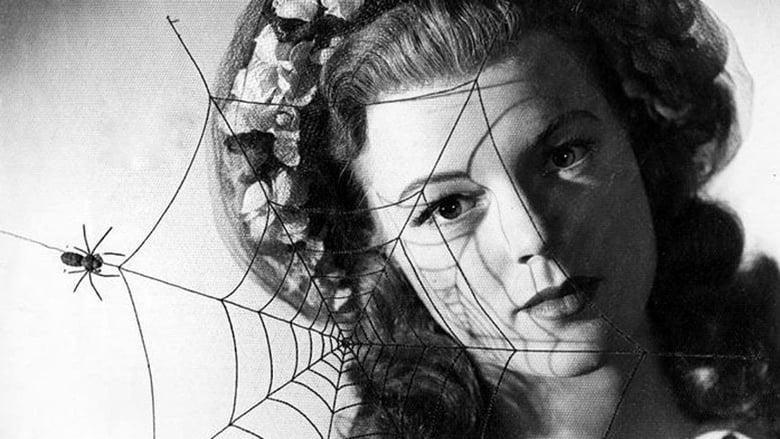 The Spider image