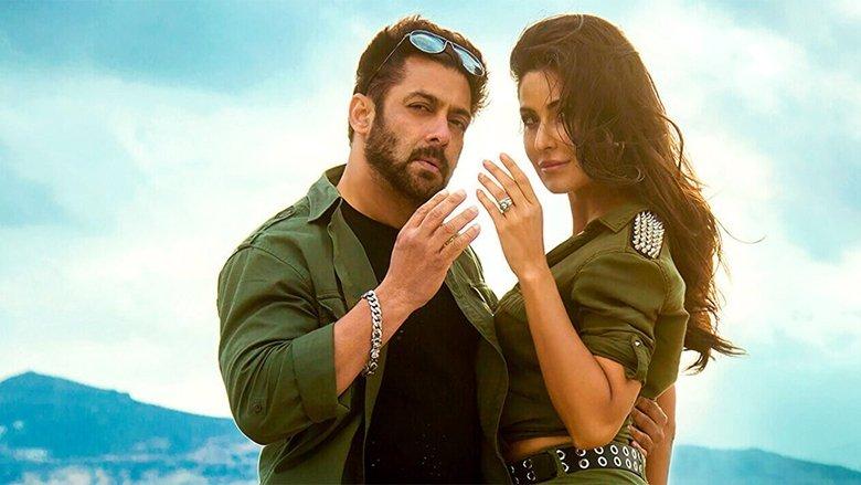 Tiger Zinda Hai image
