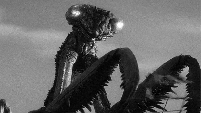 The Deadly Mantis image