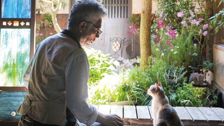 Teacher and Stray Cat image