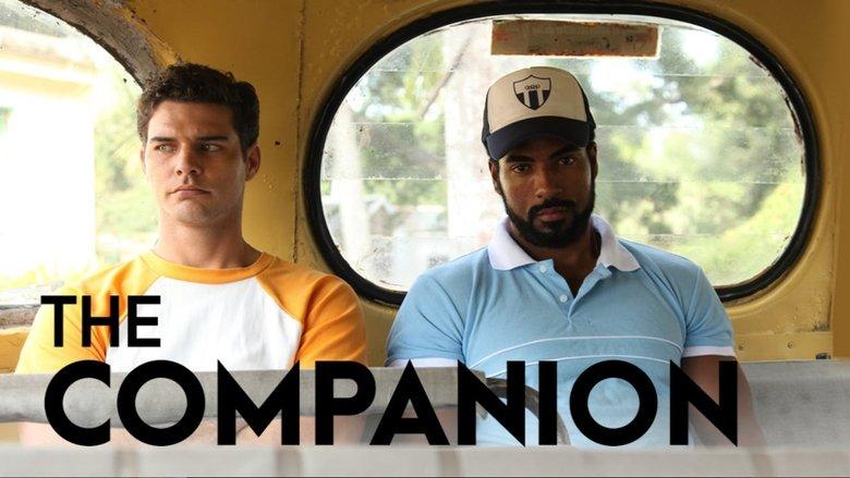 The Companion image