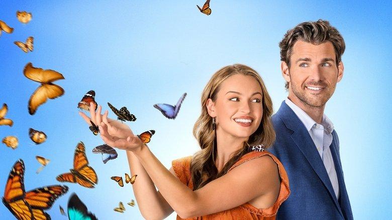 Feeling Butterflies image