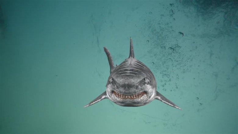 Jurassic Shark 2: Aquapocalypse image