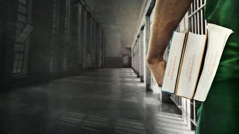 College Behind Bars image