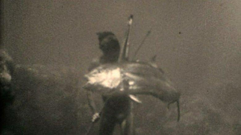 At a Depth of Eighteen Meters image