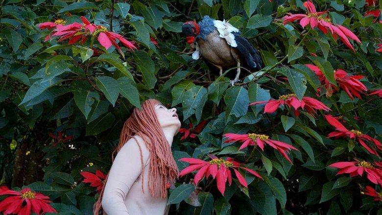 The Diaries of Adam and Eve image